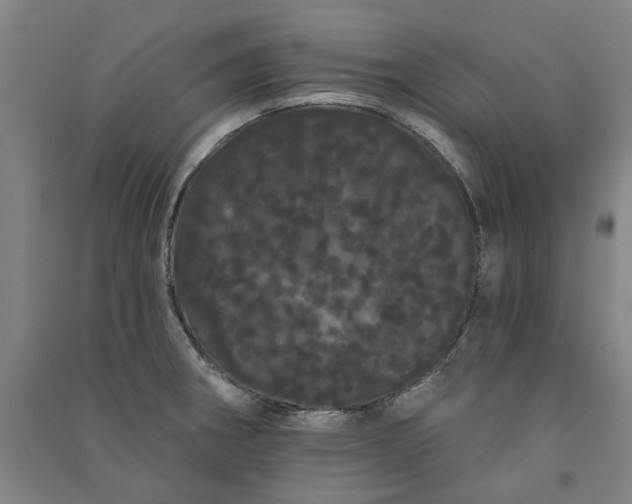 X0000091091282200708201449