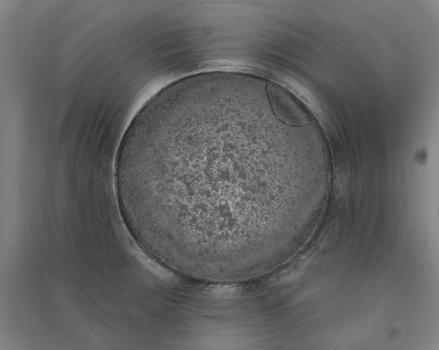 X0000091091283200708201449