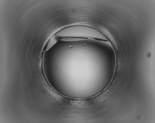 X0000091091284200708201449