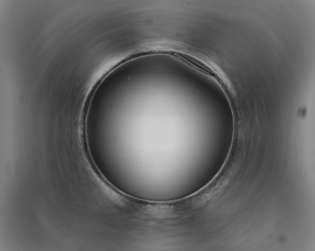 X0000091091285200708201449