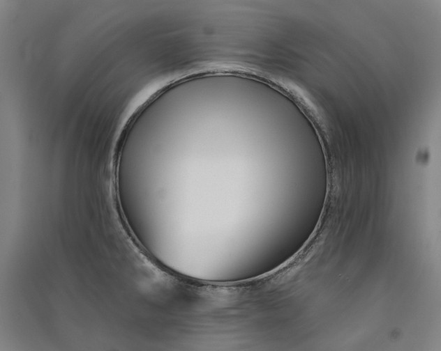X0000091091286200708201449