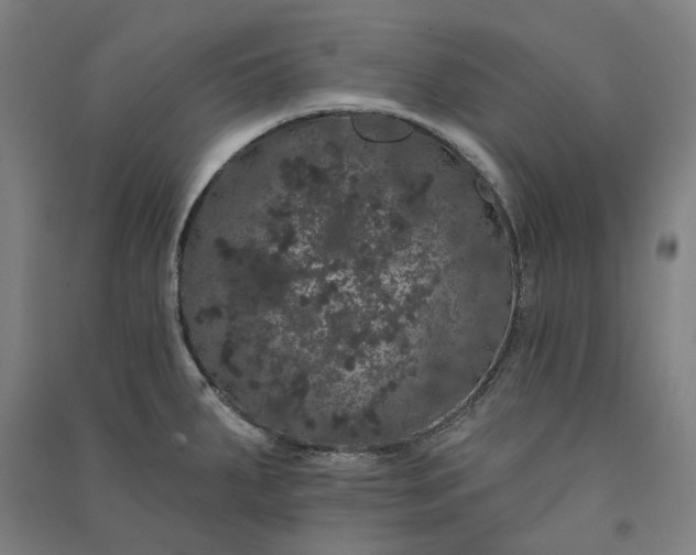 X0000091091287200708201449