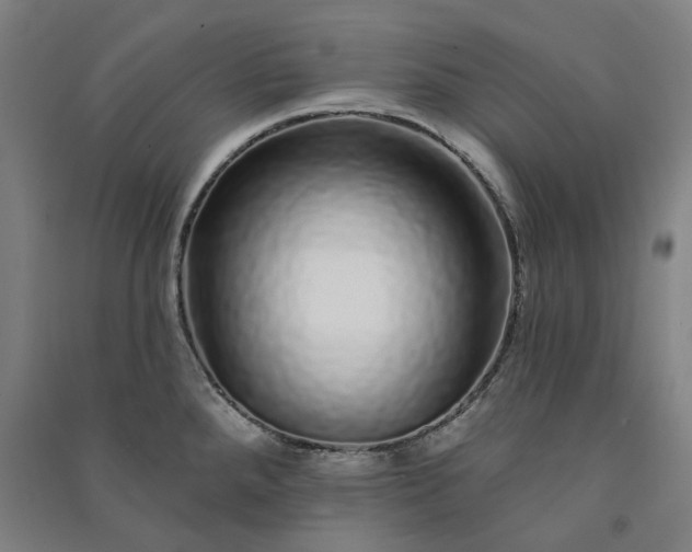 X0000091091288200708201449