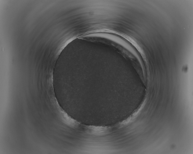 X0000091091289200708201449