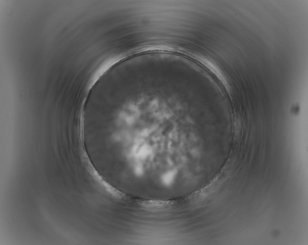 X0000091091290200708201449