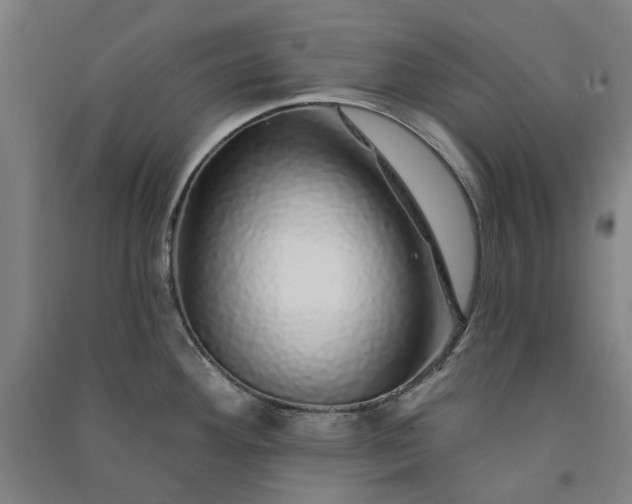 X0000091091292200708201449