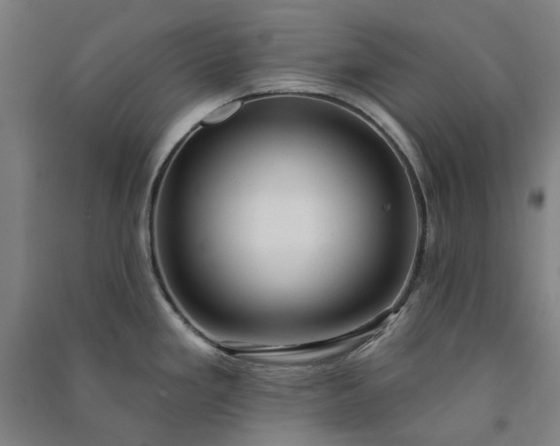 X0000091091293200708201449