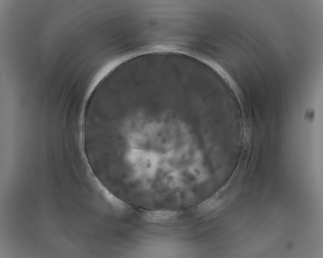 X0000091091294200708201449