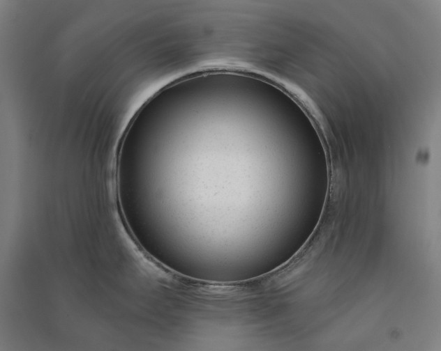 X0000091091295200708201449