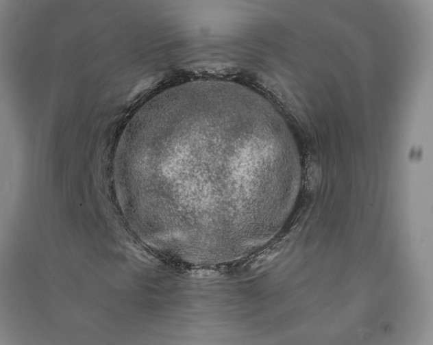 X0000091091297200708201448