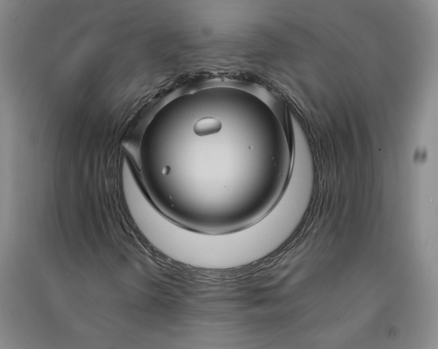 X0000091091298200708201448