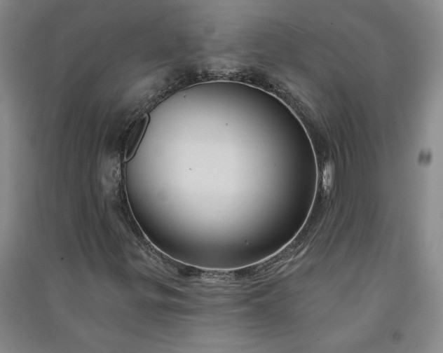 X0000091091299200708201448