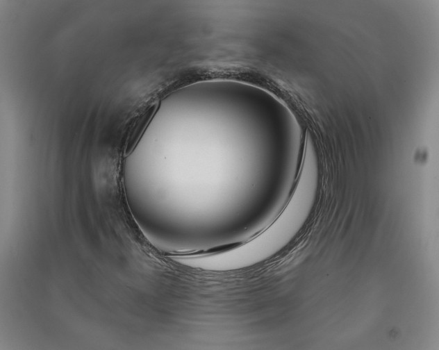 X0000091091300200708201448