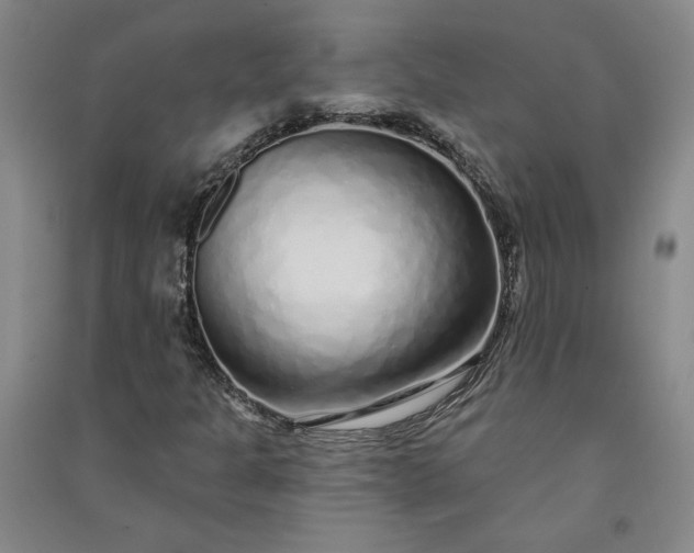 X0000091091301200708201448