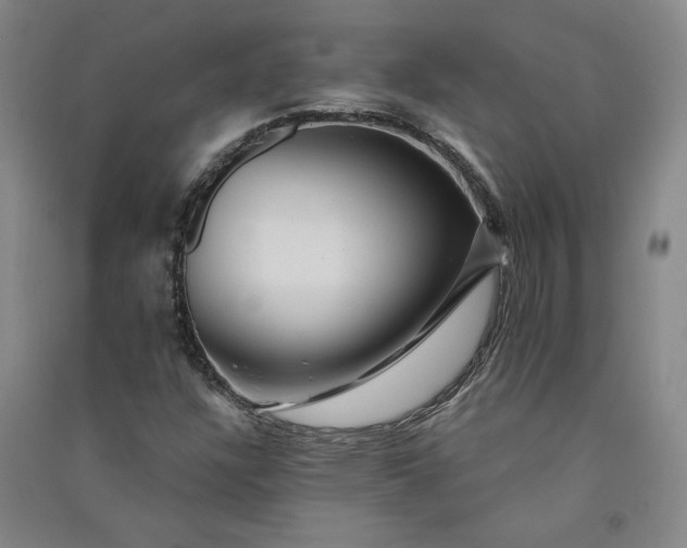 X0000091091304200708201448