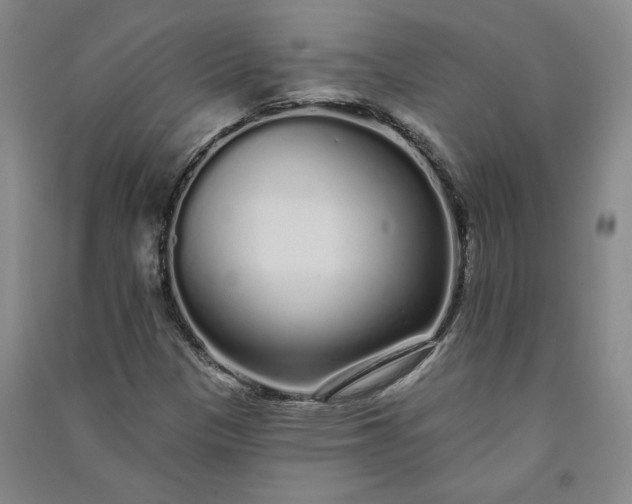 X0000091091305200708201448