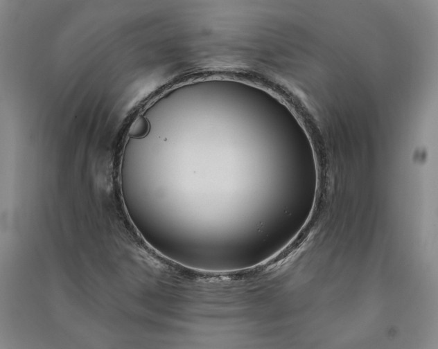 X0000091091306200708201448