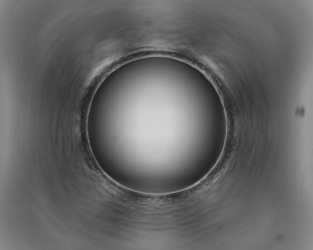 X0000091091307200708201448
