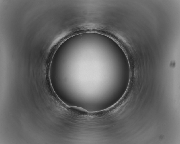 X0000091091309200708201448