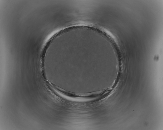 X0000091091310200708201448