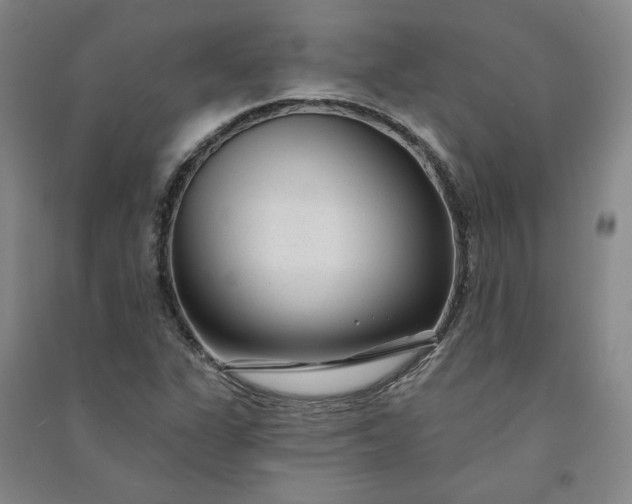 X0000091091311200708201448