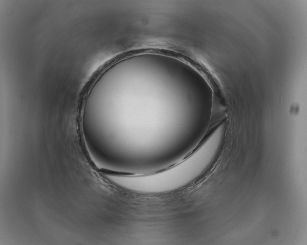 X0000091091312200708201448