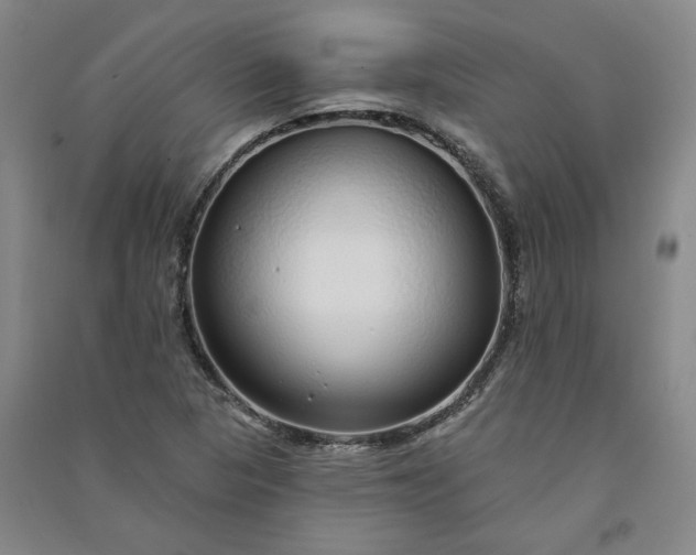 X0000091091313200708201448