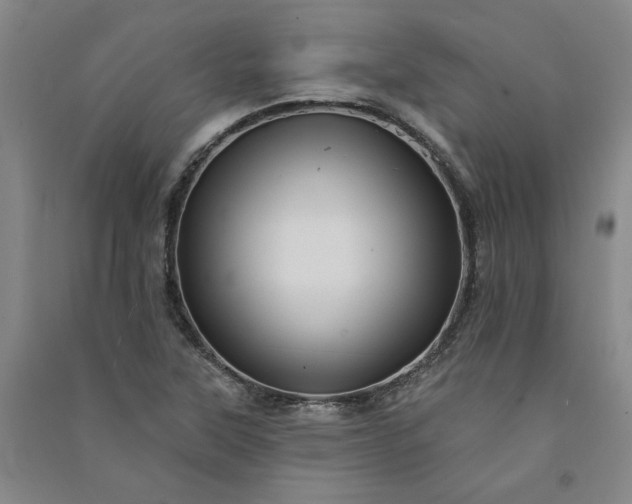 X0000091091315200708201448
