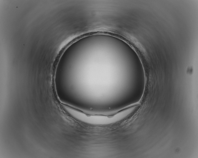 X0000091091316200708201448