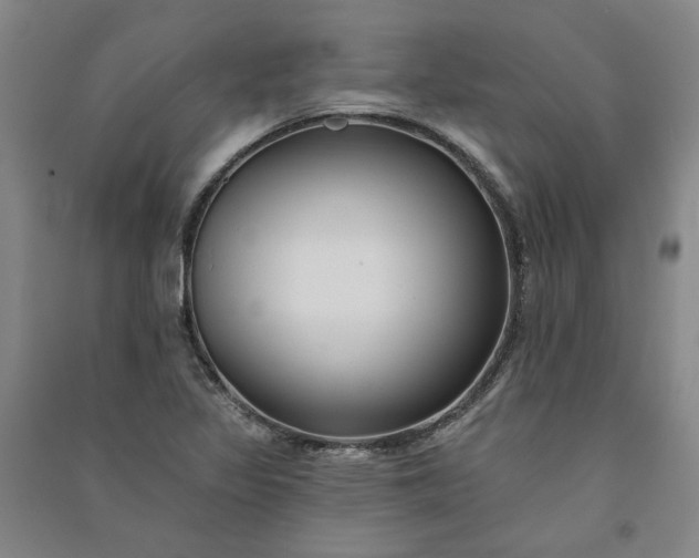 X0000091091317200708201448