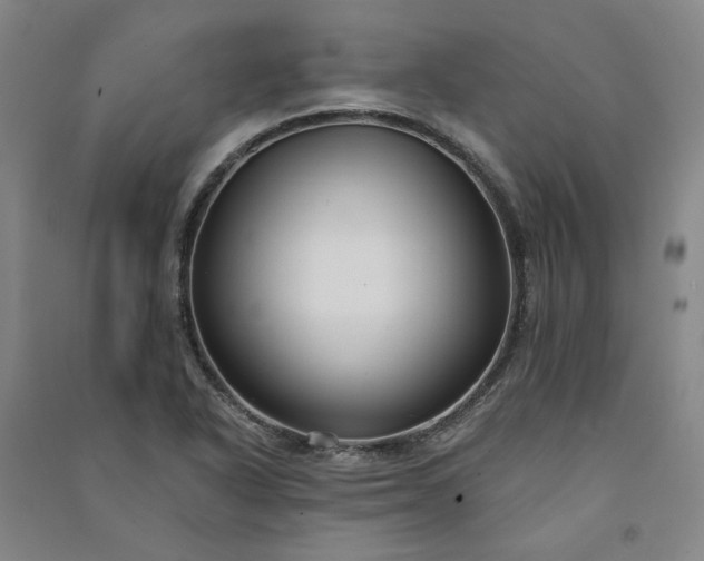 X0000091091318200708201448