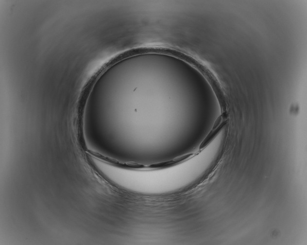 X0000091091319200708201448