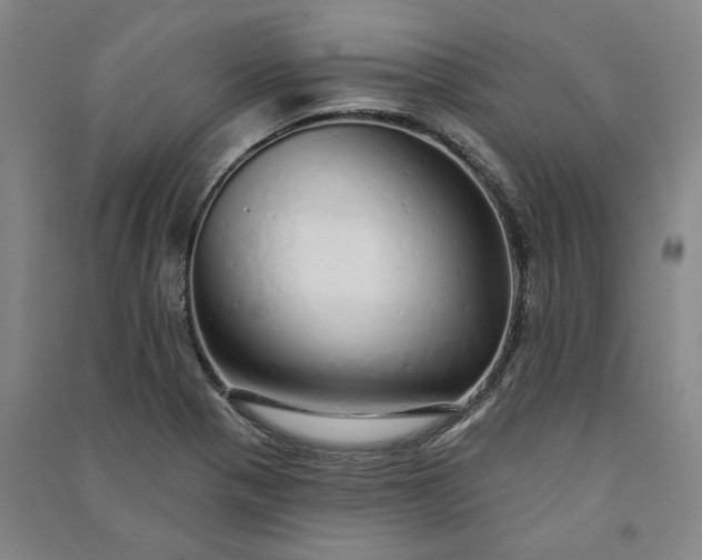 X0000091091321200708201448