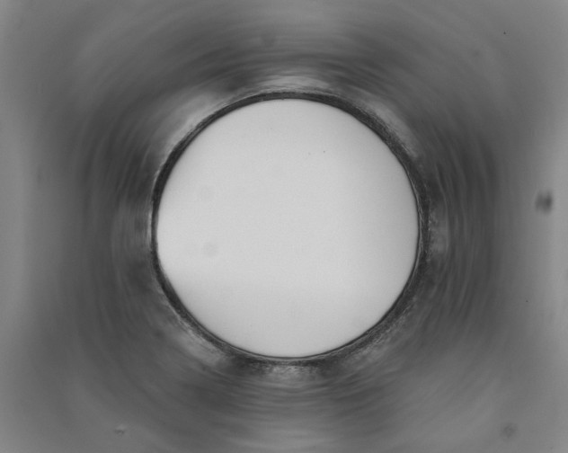 X0000091091322200708201448