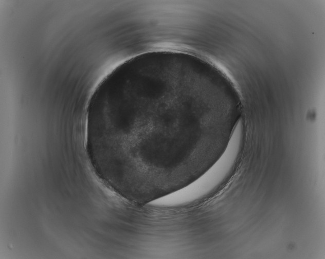 X0000091091323200708201448