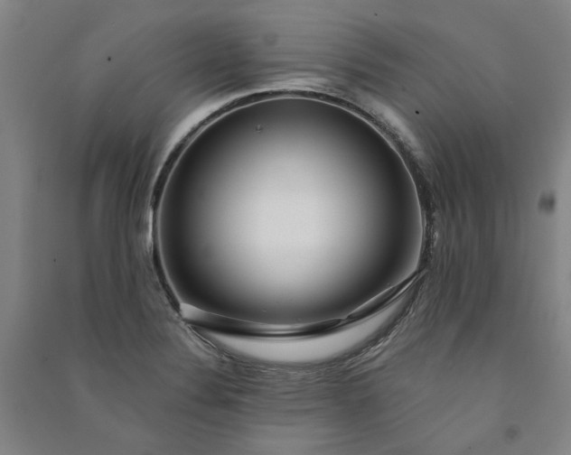 X0000091091324200708201448