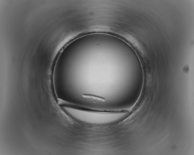 X0000091091325200708201448