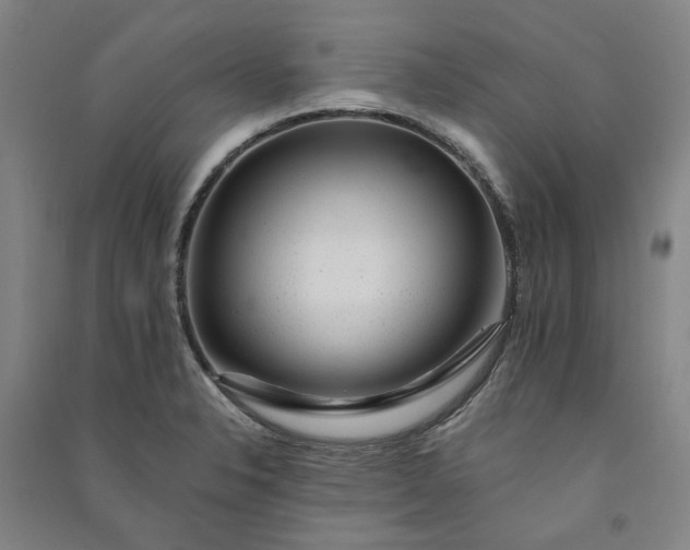 X0000091091326200708201448