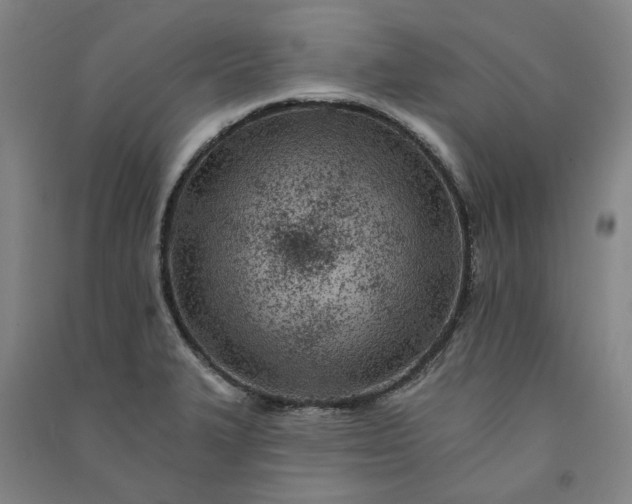 X0000091091327200708201448