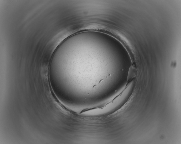 X0000091091329200708201448