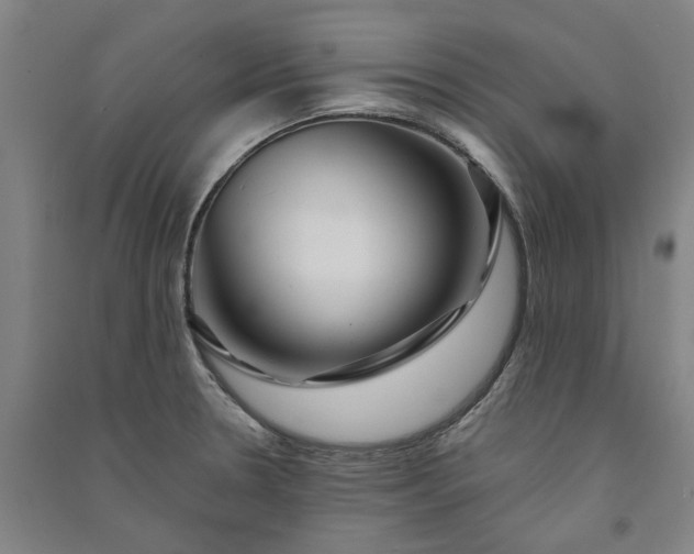 X0000091091330200708201448