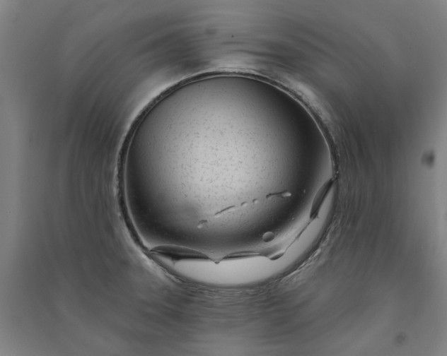 X0000091091331200708201448