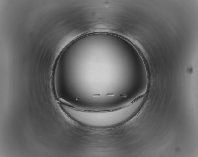 X0000091091333200708201448