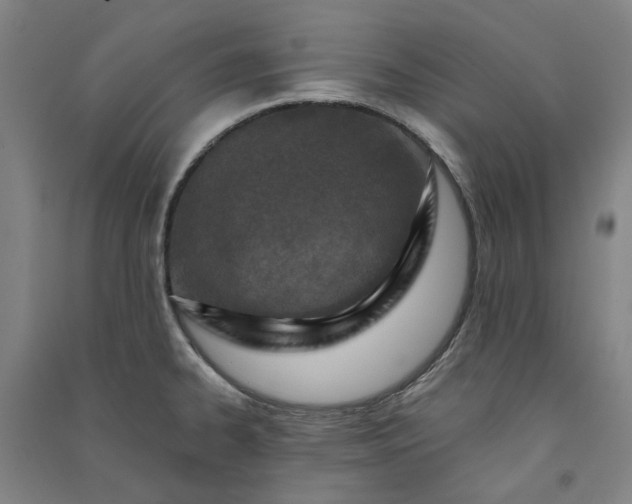 X0000091091334200708201448
