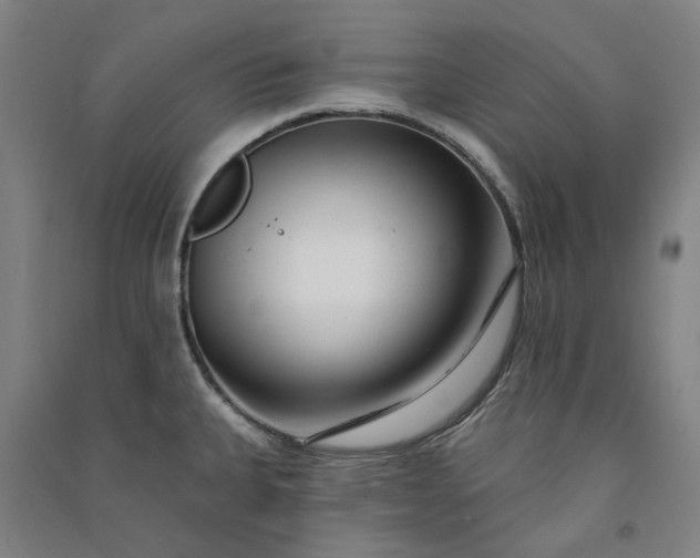 X0000091091335200708201448