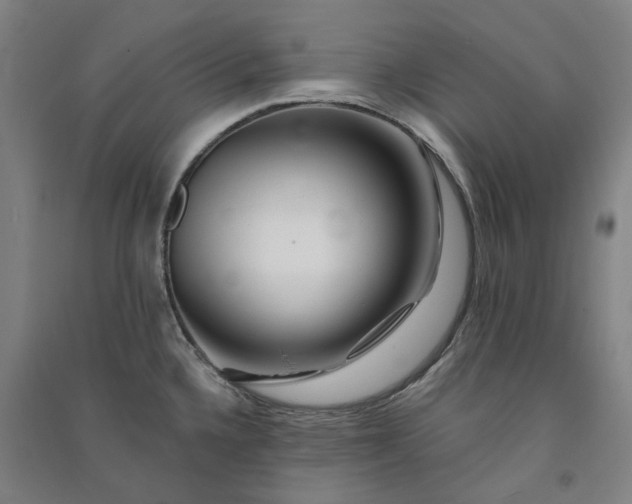 X0000091091336200708201448