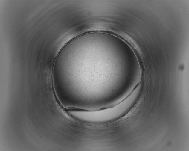X0000091091337200708201448