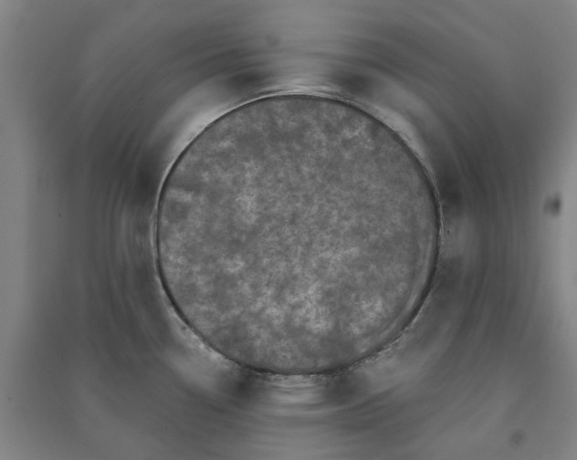 X0000091091338200708201448