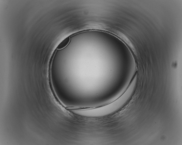 X0000091091339200708201448