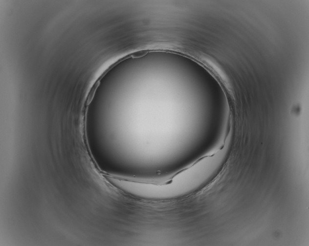 X0000091091340200708201449